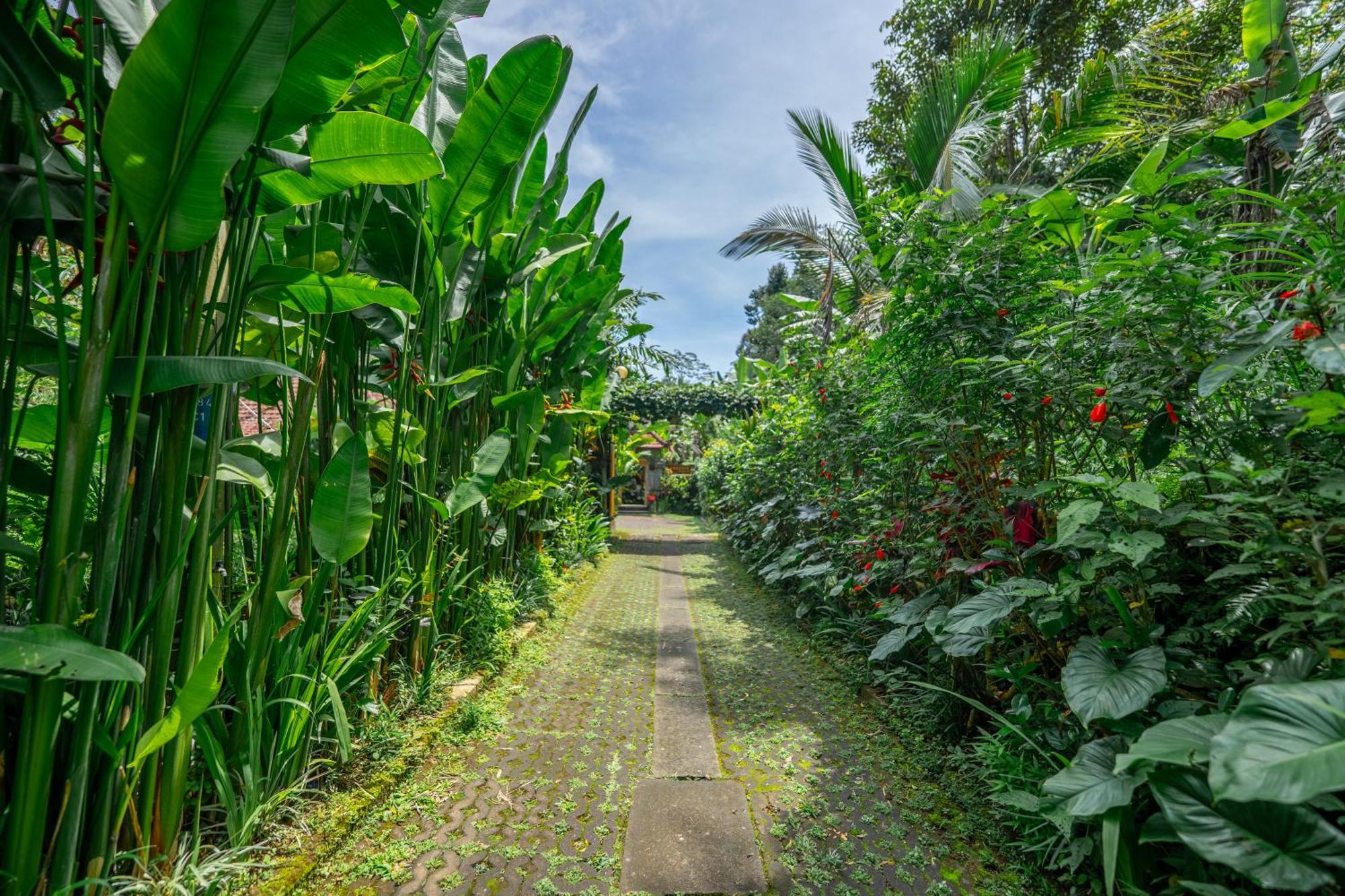 Prayatna Ubud (Bali)